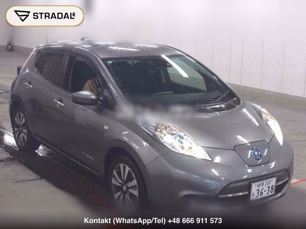 NISSAN LEAF X THANKS EDITION(30KWH), miniaturka 2