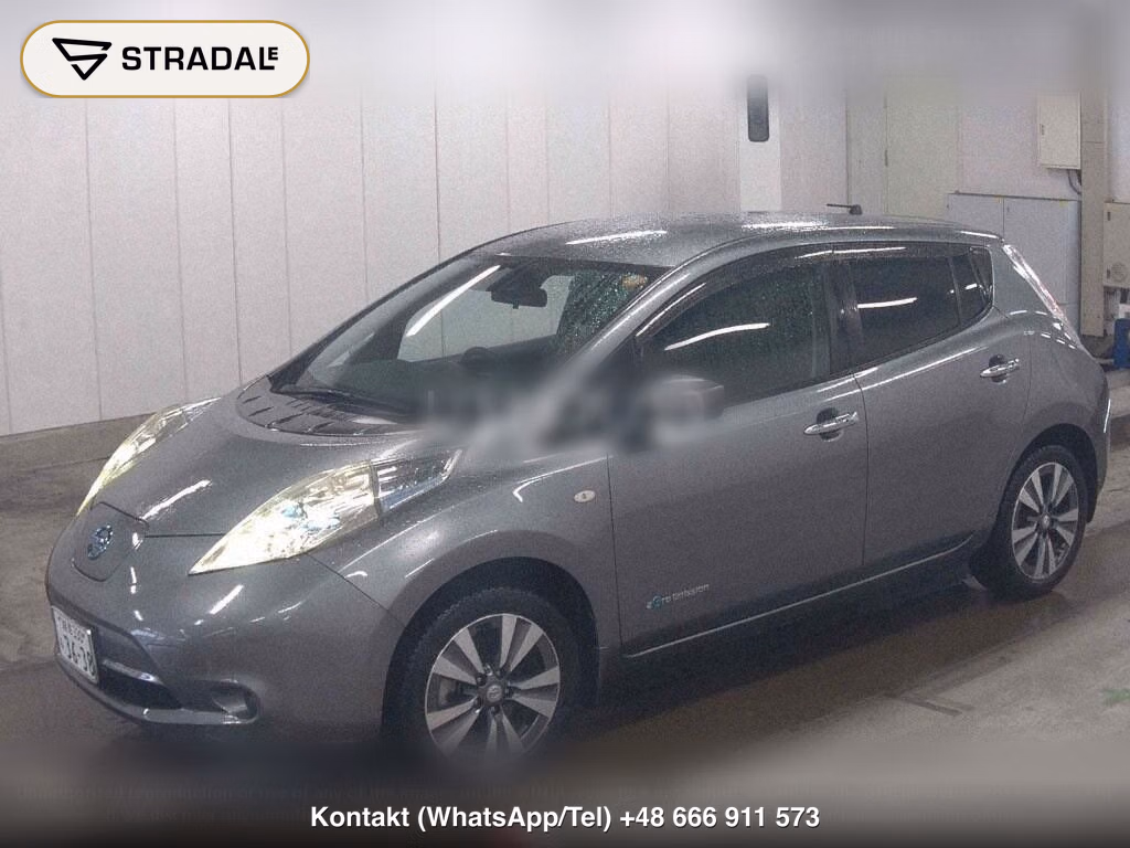 NISSAN LEAF X THANKS EDITION(30KWH), miniaturka 5