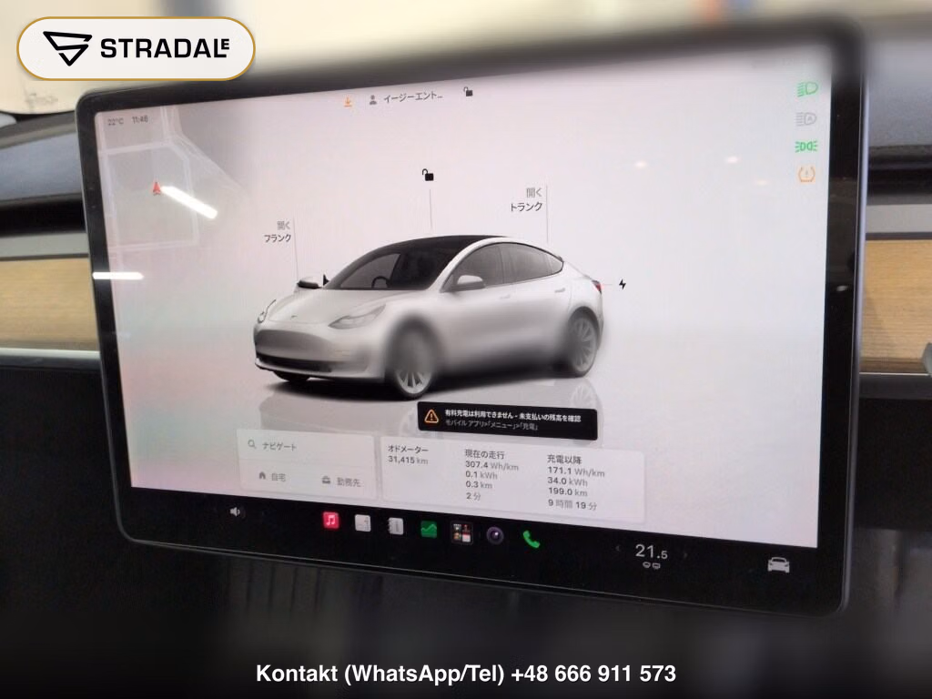 TESLA MODEL 3 4WD LONG RANGE, miniaturka 7