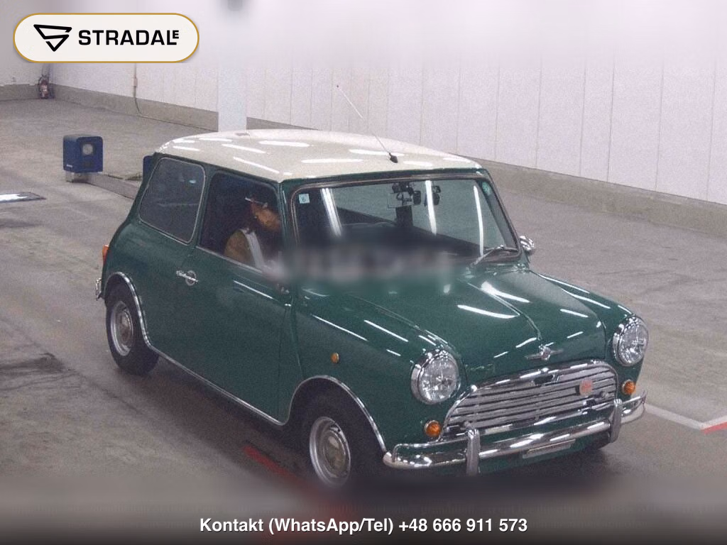 ROVER MINI 2D 1.3, miniaturka 2