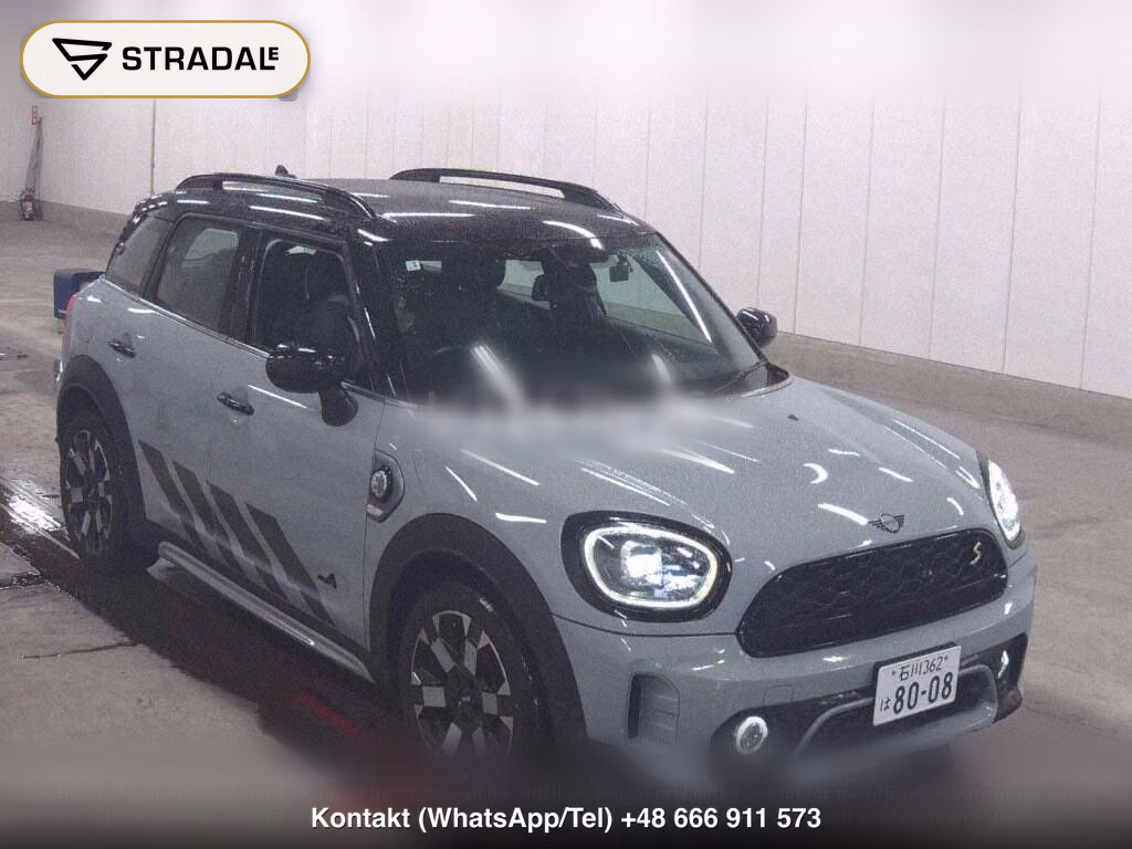 MINI MINI 5D 4WD COOPER SE CROSSOVER UNTAMED EDITION, miniaturka 2