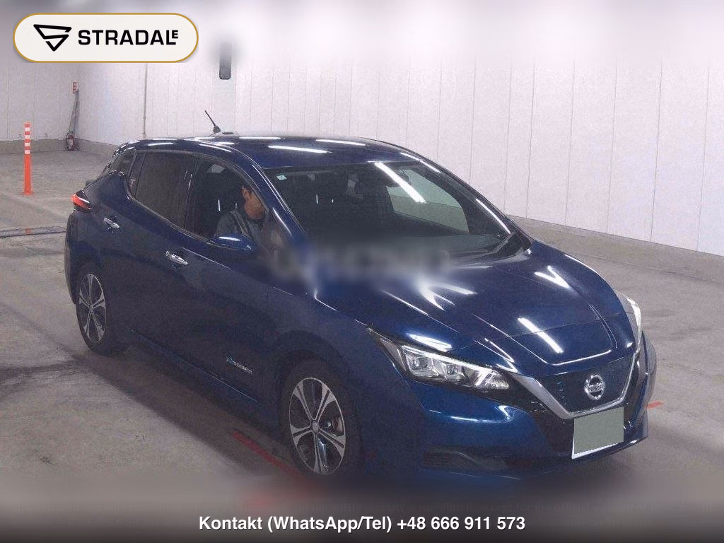 NISSAN LEAF X 10 THOUSAND UNITS MEMORIAL CAR, miniaturka 2