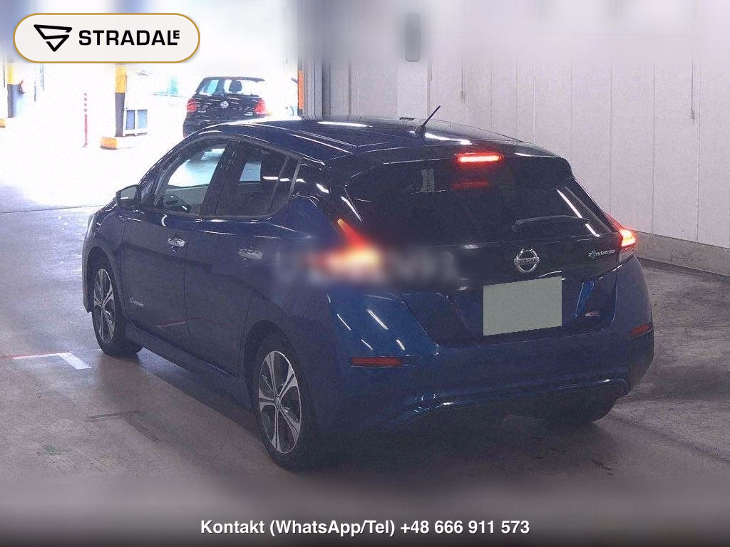 NISSAN LEAF X 10 THOUSAND UNITS MEMORIAL CAR, miniaturka 3