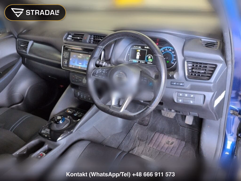 NISSAN LEAF X 10 THOUSAND UNITS MEMORIAL CAR, miniaturka 4