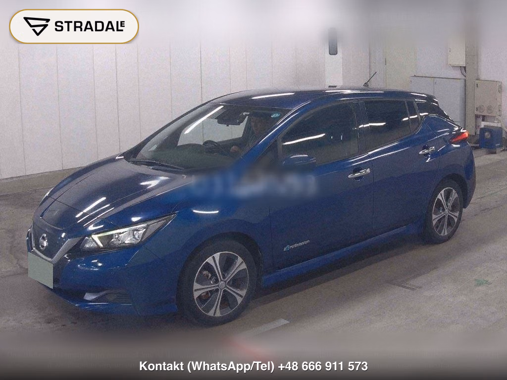 NISSAN LEAF X 10 THOUSAND UNITS MEMORIAL CAR, miniaturka 5