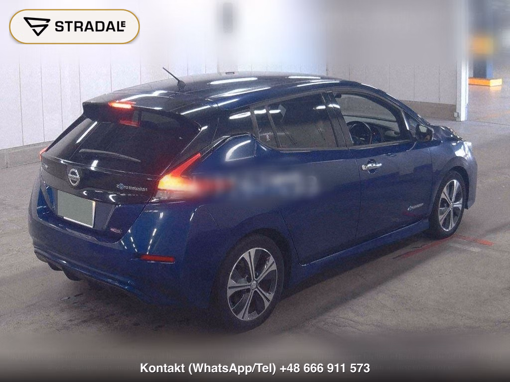NISSAN LEAF X 10 THOUSAND UNITS MEMORIAL CAR, miniaturka 6