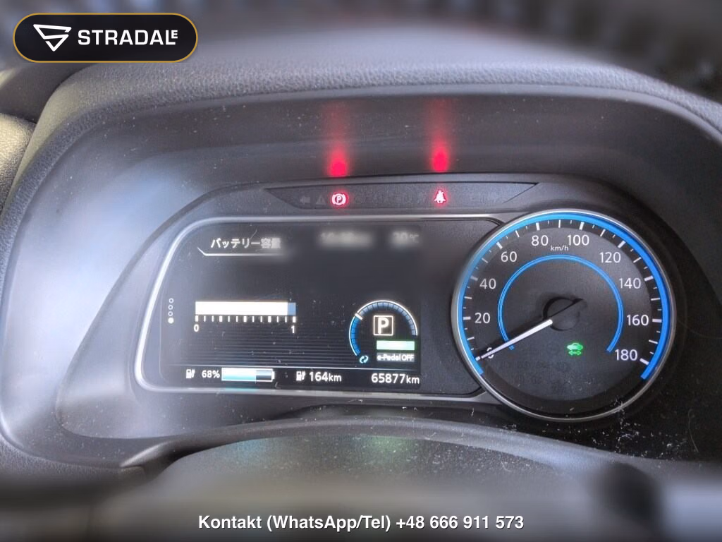 NISSAN LEAF X 10 THOUSAND UNITS MEMORIAL CAR, miniaturka 7