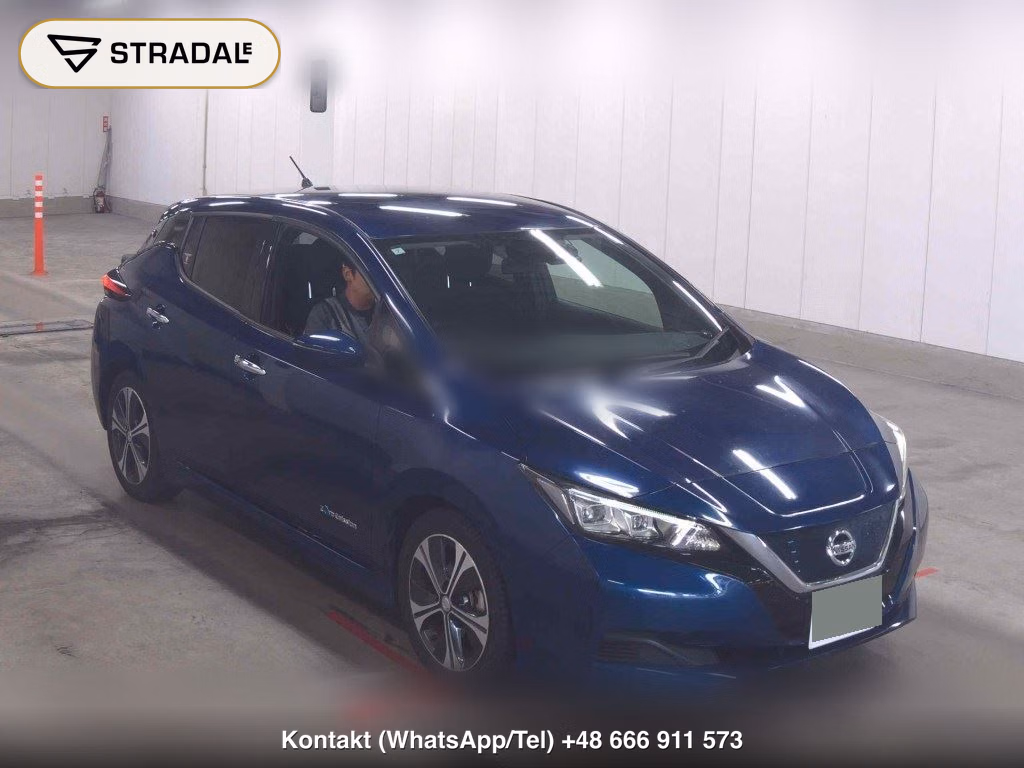 NISSAN LEAF X 10 THOUSAND UNITS MEMORIAL CAR 2018, aukcja z Japonii, zdjęcie 1