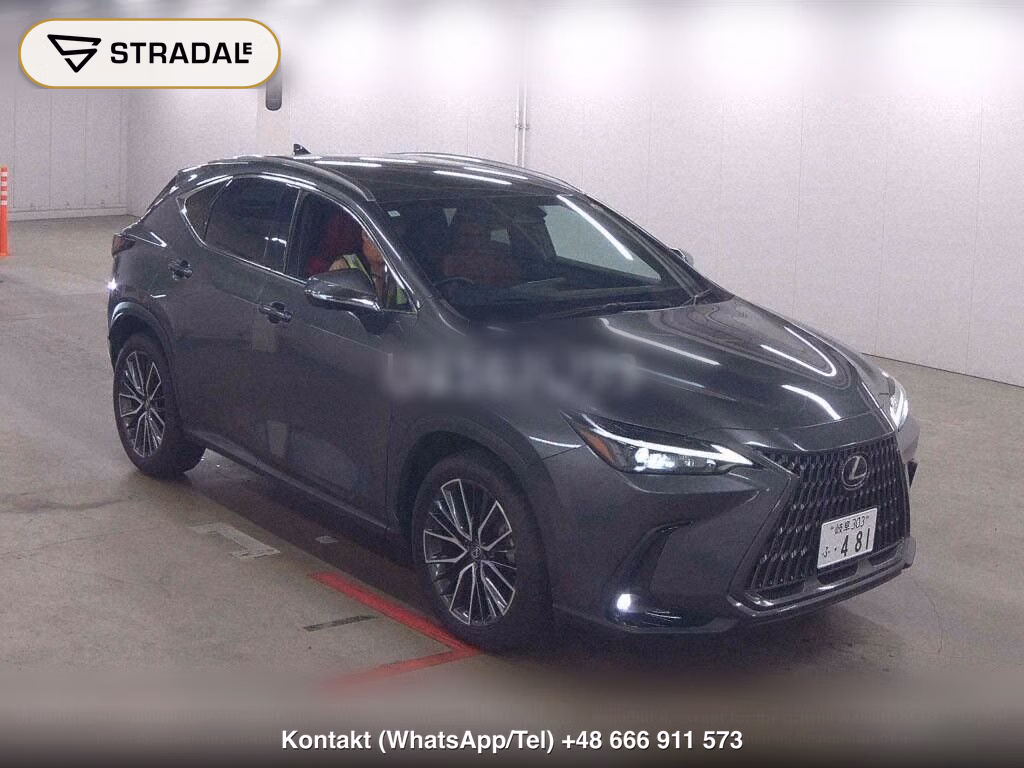 LEXUS NX 4WD NX250, miniaturka 2