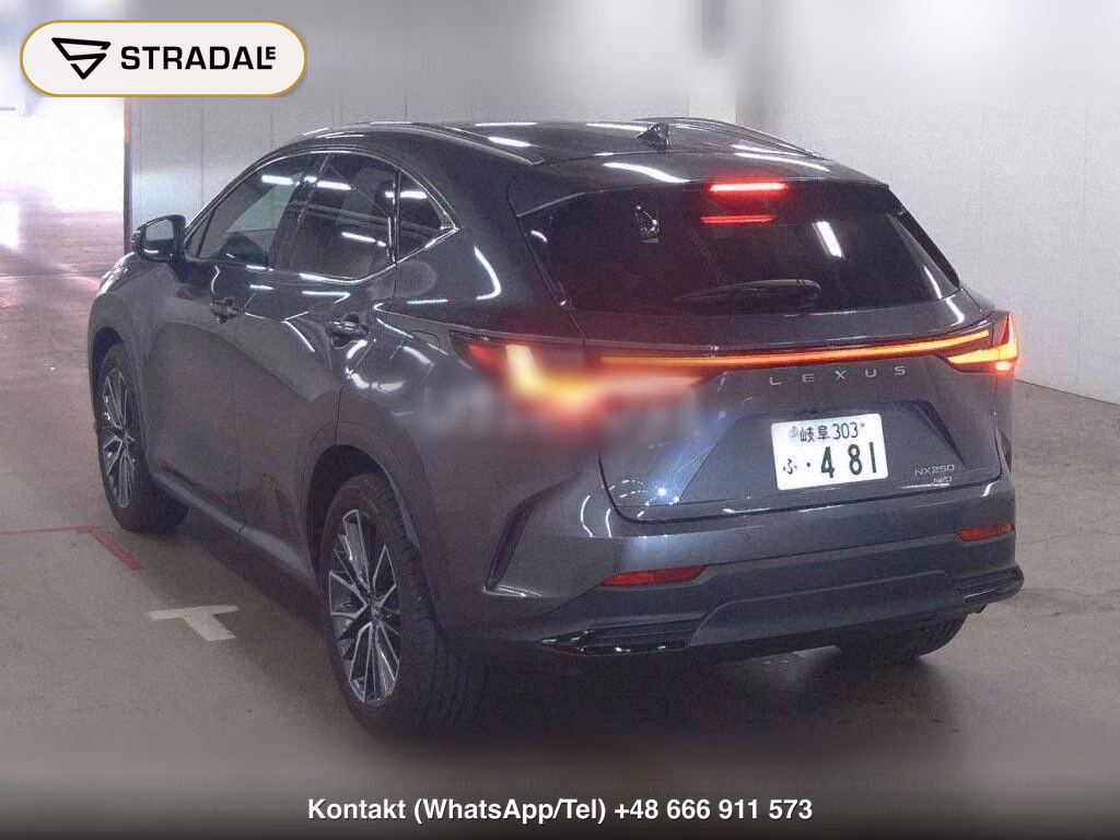 LEXUS NX 4WD NX250, miniaturka 3