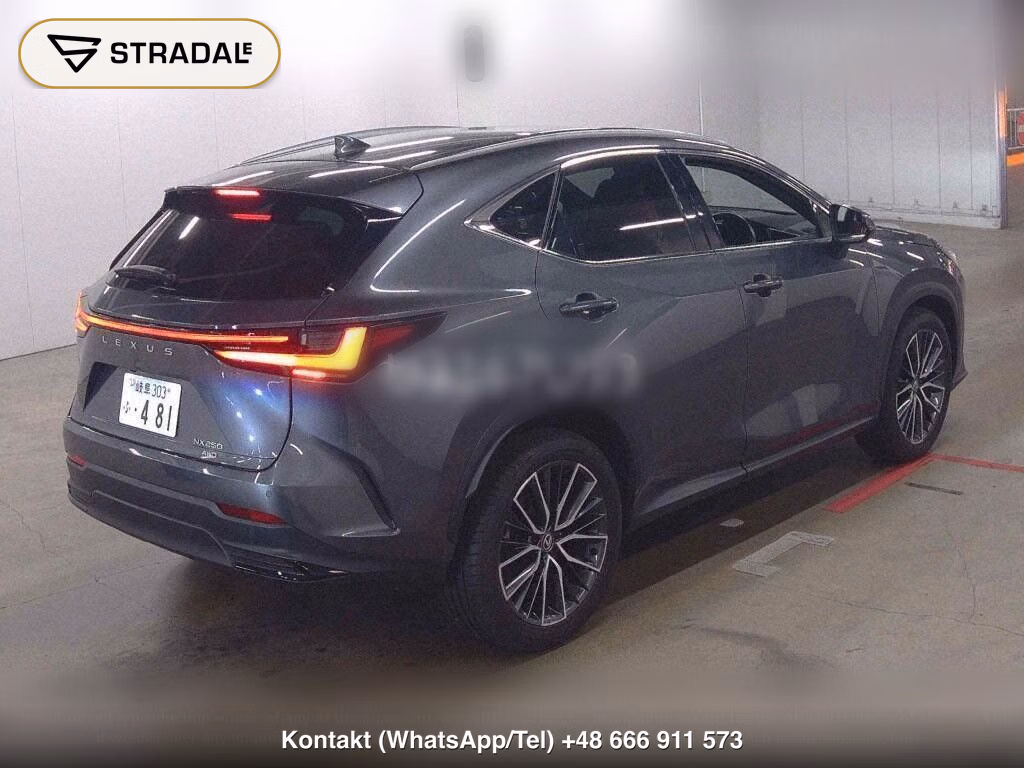 LEXUS NX 4WD NX250, miniaturka 6