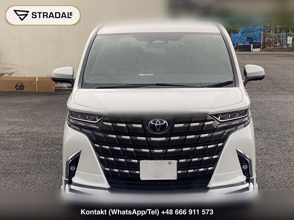 TOYOTA ALPHARD Z, miniaturka 10
