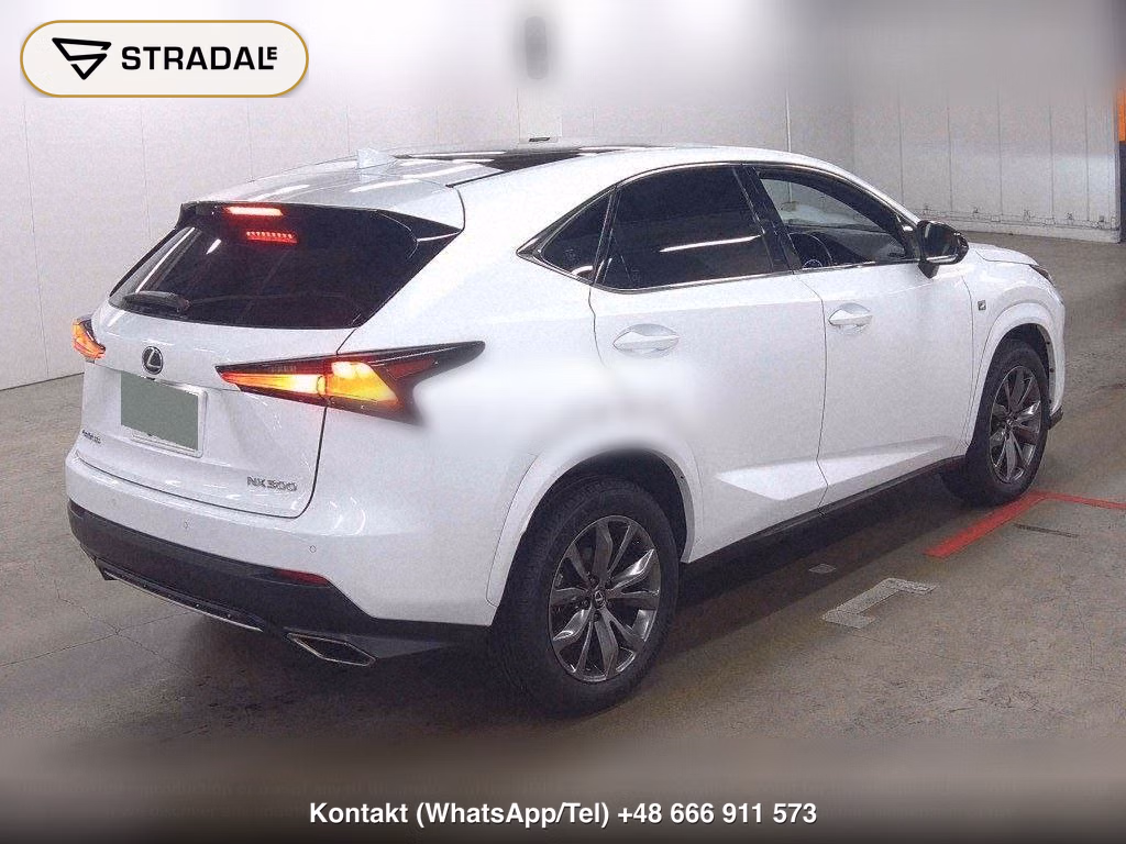 LEXUS NX NX300 F SPORT, miniaturka 5