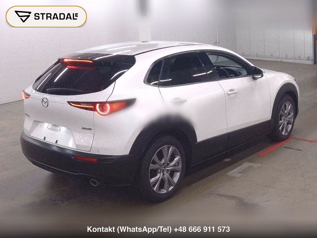 MAZDA CX-30 XD PROACTIVE TOURING SELECTION, miniaturka 6