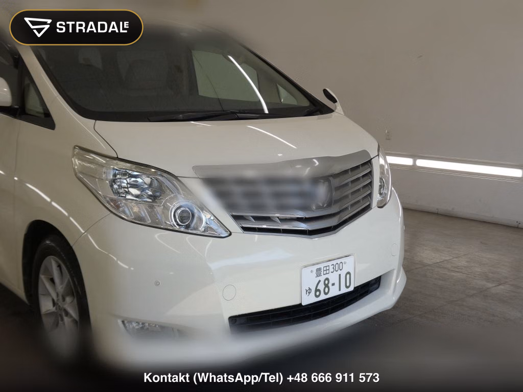 TOYOTA ALPHARD 350G L PACKAGE, miniaturka 10