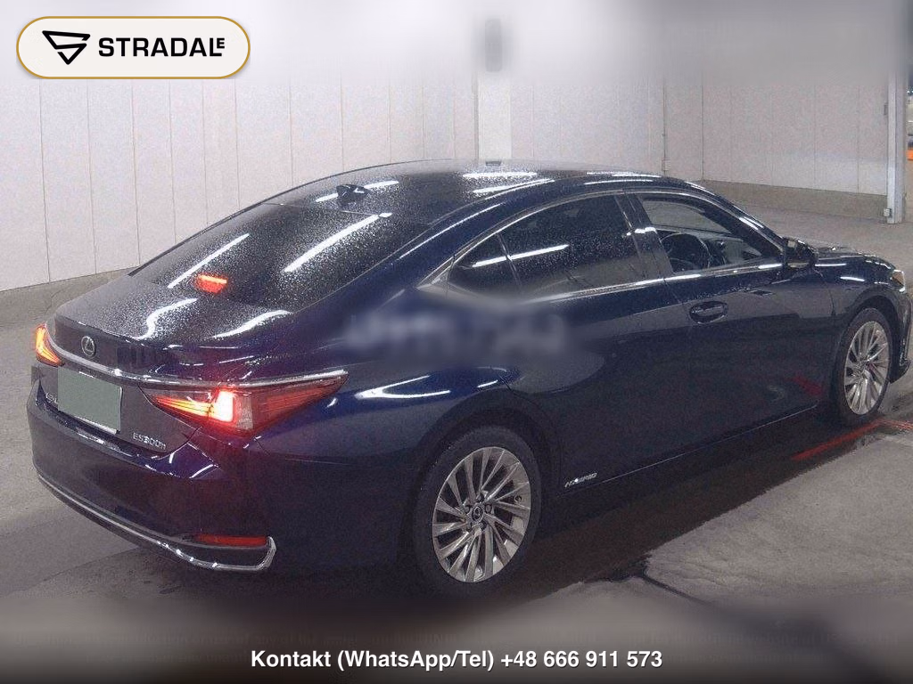 LEXUS ES ES300H VERSION L, miniaturka 6