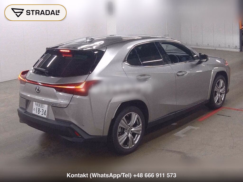 LEXUS UX 4WD UX250H GRACEFUL EXPLORER, miniaturka 6
