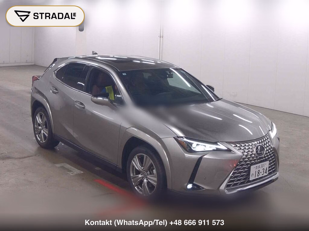 LEXUS UX 4WD UX250H GRACEFUL EXPLORER 2023, aukcja z Japonii, zdjęcie 1
