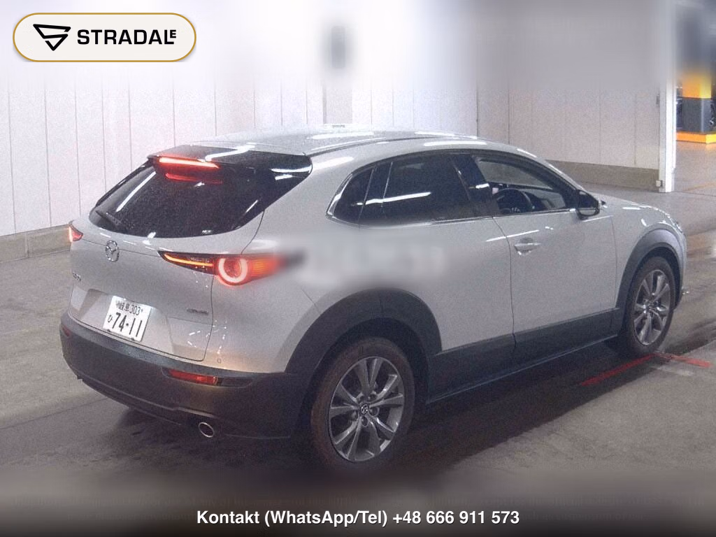 MAZDA CX-30 20S PROACTIVE TOURING SELECTION, miniaturka 6