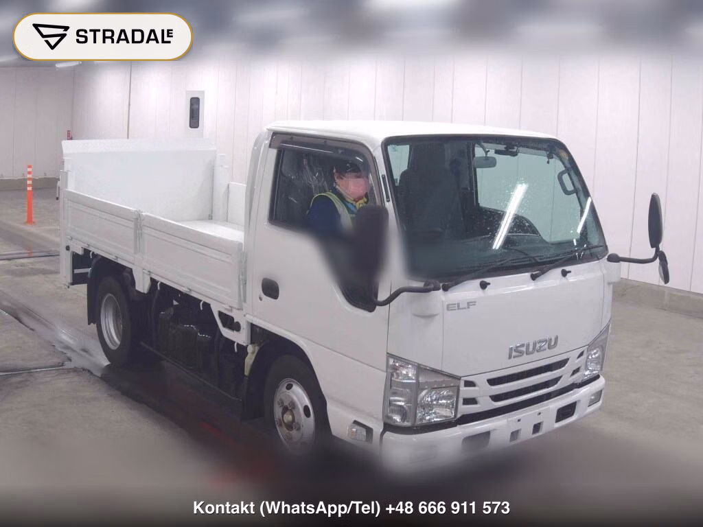 ISUZU ELF TRUCK 2D OTHERS 2017, aukcja z Japonii, zdjęcie 1