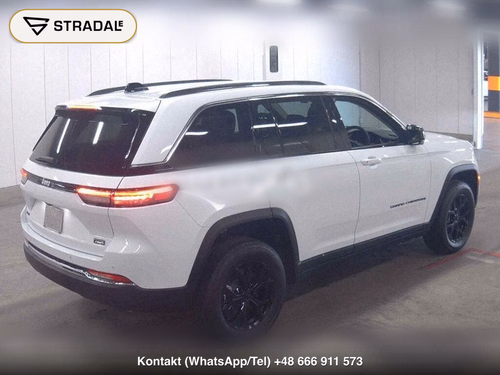 CHRYSLER JEEP JEEP GRAND CHEROKEE 4WD FINAL EDITION, miniaturka 6