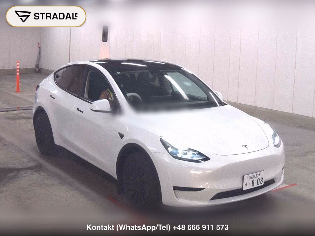 TESLA MODEL Y RWD, miniaturka 2