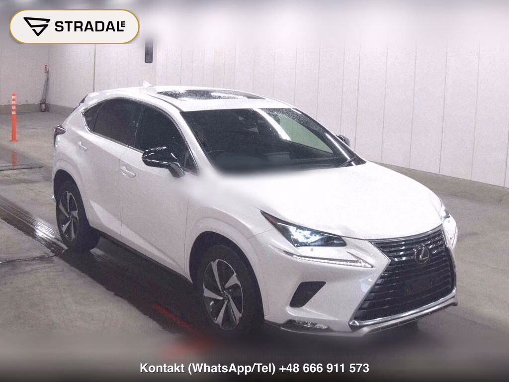 LEXUS NX NX300 SPECIAL EDITION SPICE AND CHIC, miniaturka 2