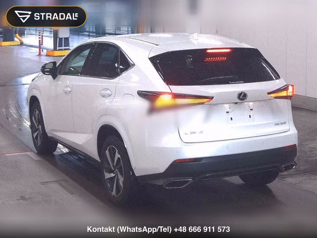 LEXUS NX NX300 SPECIAL EDITION SPICE AND CHIC, miniaturka 3