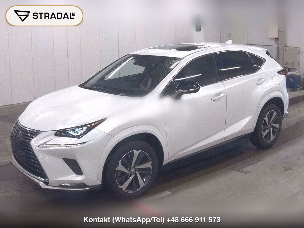LEXUS NX NX300 SPECIAL EDITION SPICE AND CHIC, miniaturka 5