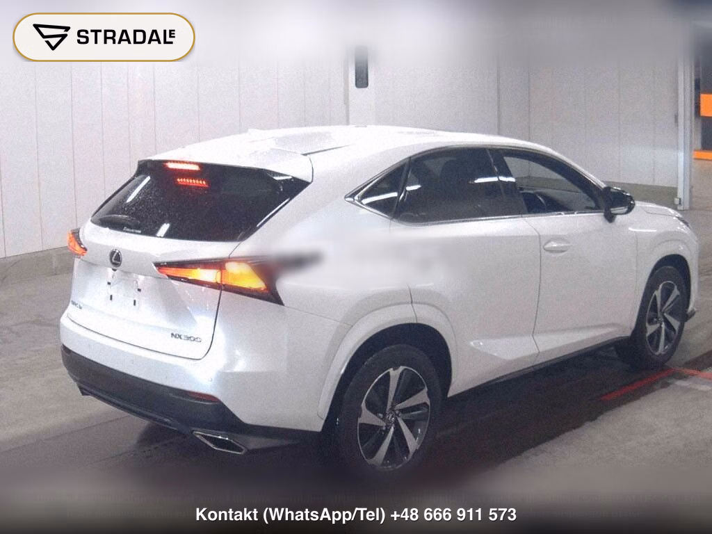 LEXUS NX NX300 SPECIAL EDITION SPICE AND CHIC, miniaturka 6