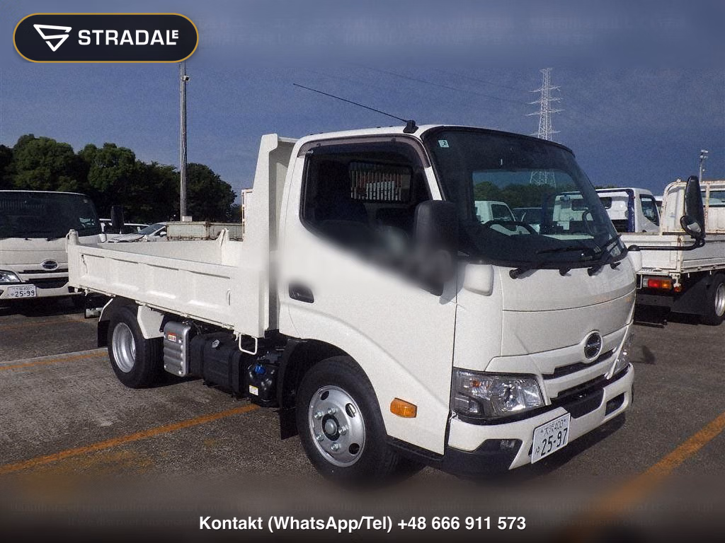 HINO DUTRO 2D OTHERS, miniaturka 2