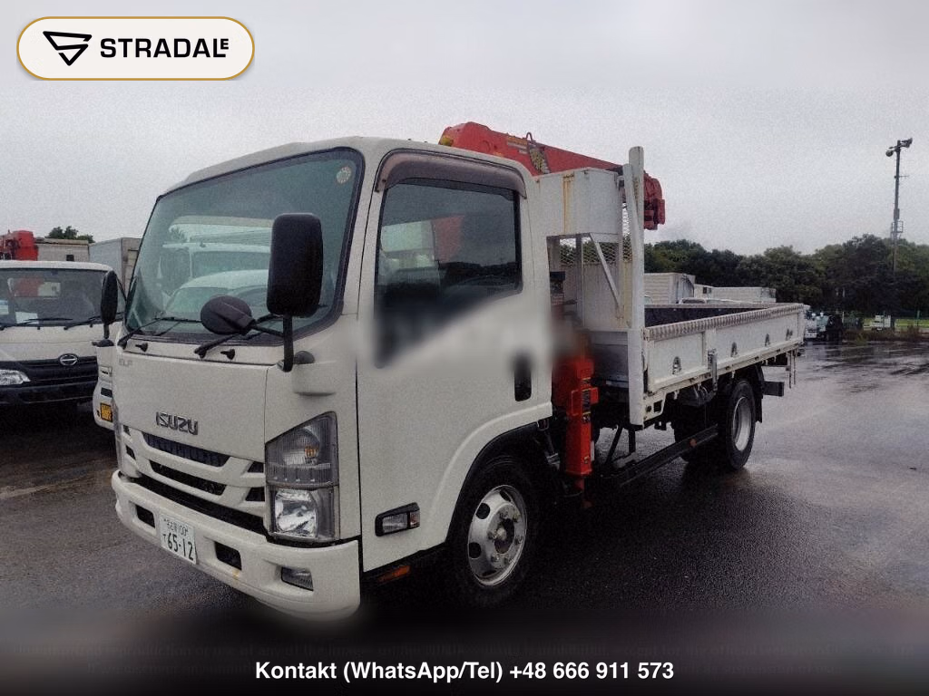 ISUZU ELF TRUCK 2D CRANE, miniaturka 5