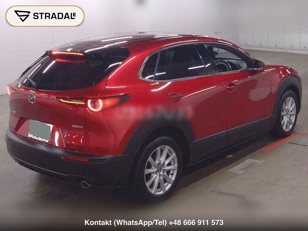 MAZDA CX-30 XD PROACTIVE TOURING SELECTION, miniaturka 6
