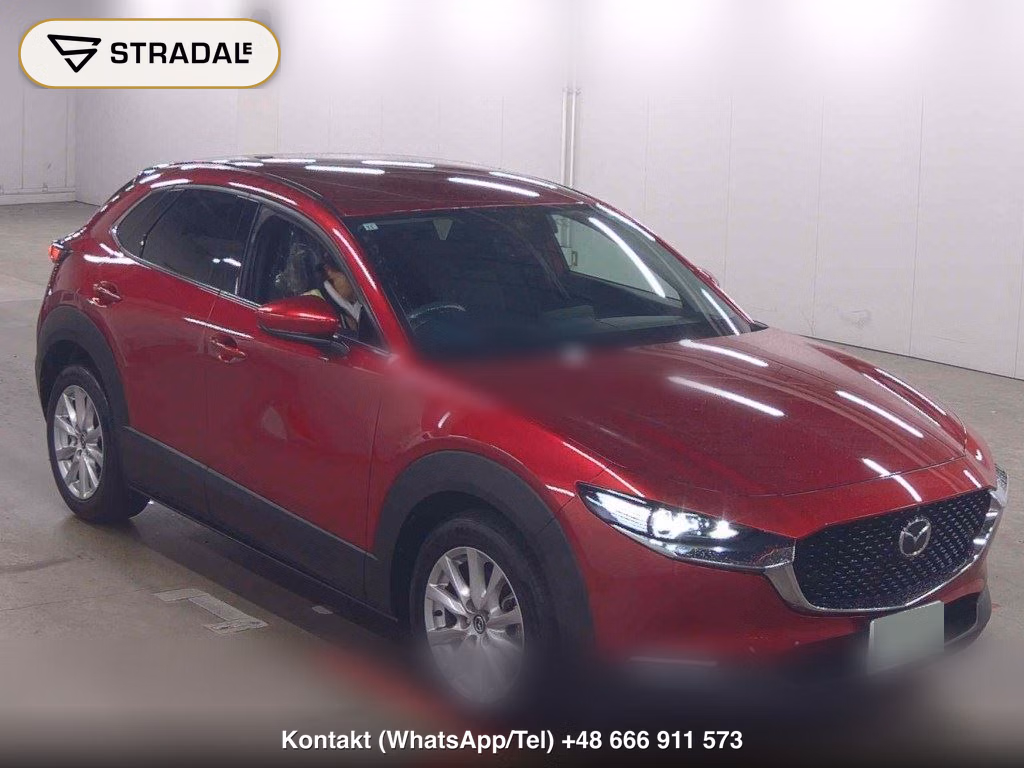 MAZDA CX-30 XD PROACTIVE TOURING SELECTION 2019, aukcja z Japonii, zdjęcie 1