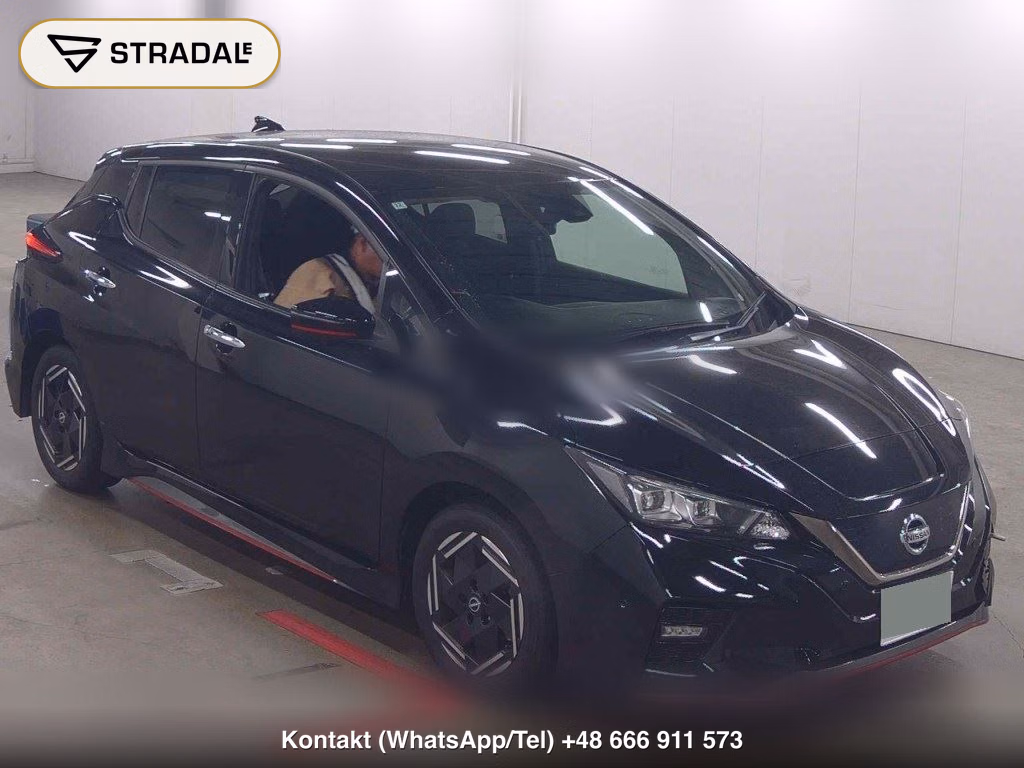 NISSAN LEAF NISMO 2019, aukcja z Japonii, zdjęcie 1
