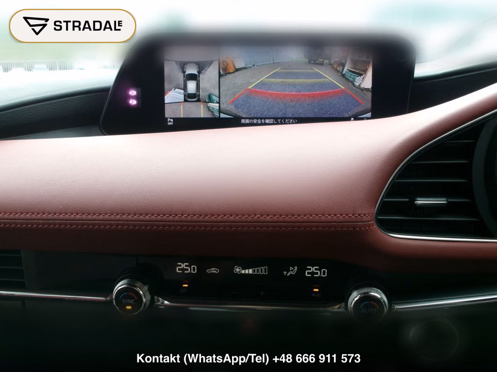 MAZDA MAZDA3 FASTBACK 20S BURGUNDY SELECTION, miniaturka 11