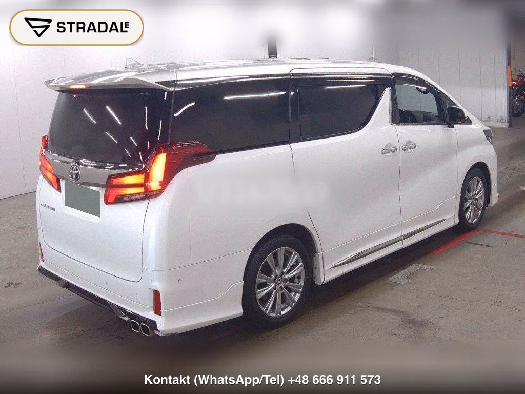 TOYOTA ALPHARD 2.5S TYPE GOLD, miniaturka 6