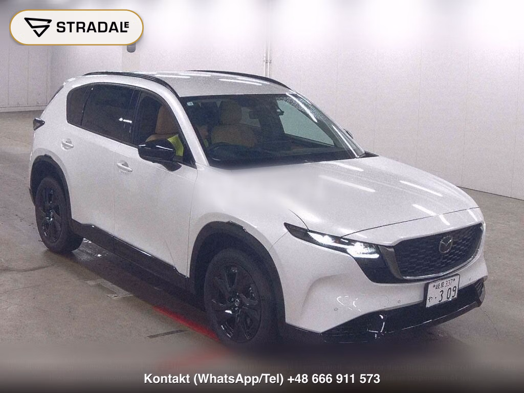 MAZDA CX-5 4WD L, miniaturka 2