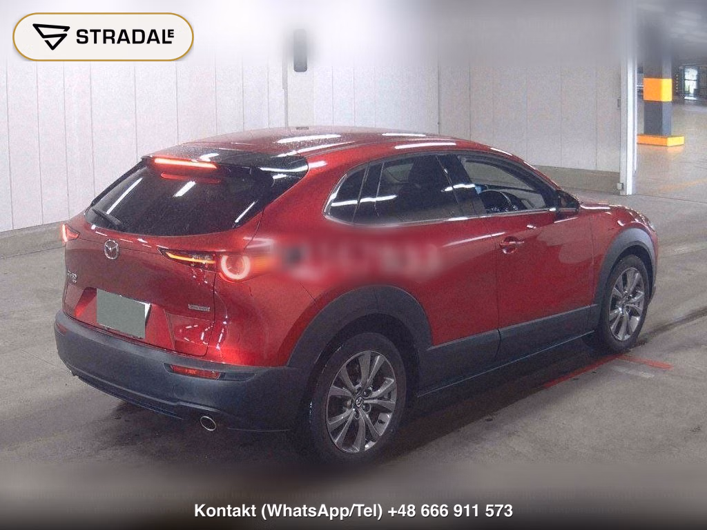 MAZDA CX-30 4WD 20S L PACKAGE, miniaturka 6