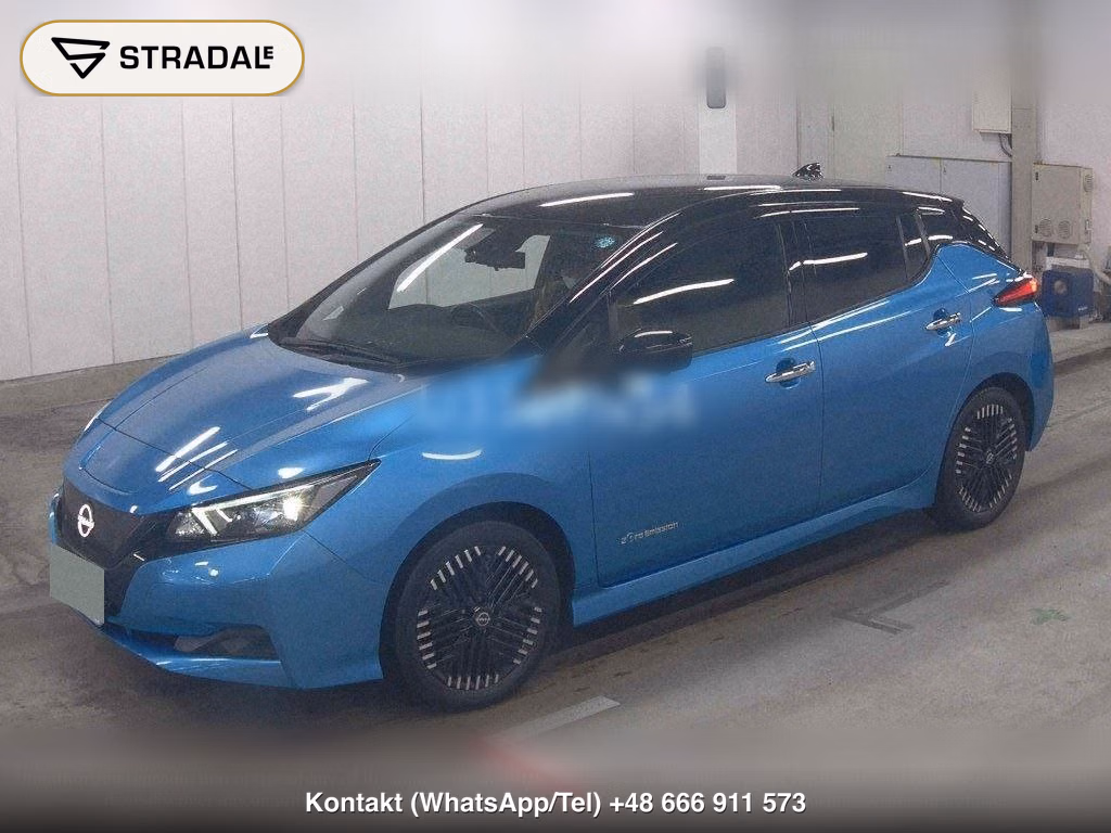 NISSAN LEAF X V SELECTION, miniaturka 5