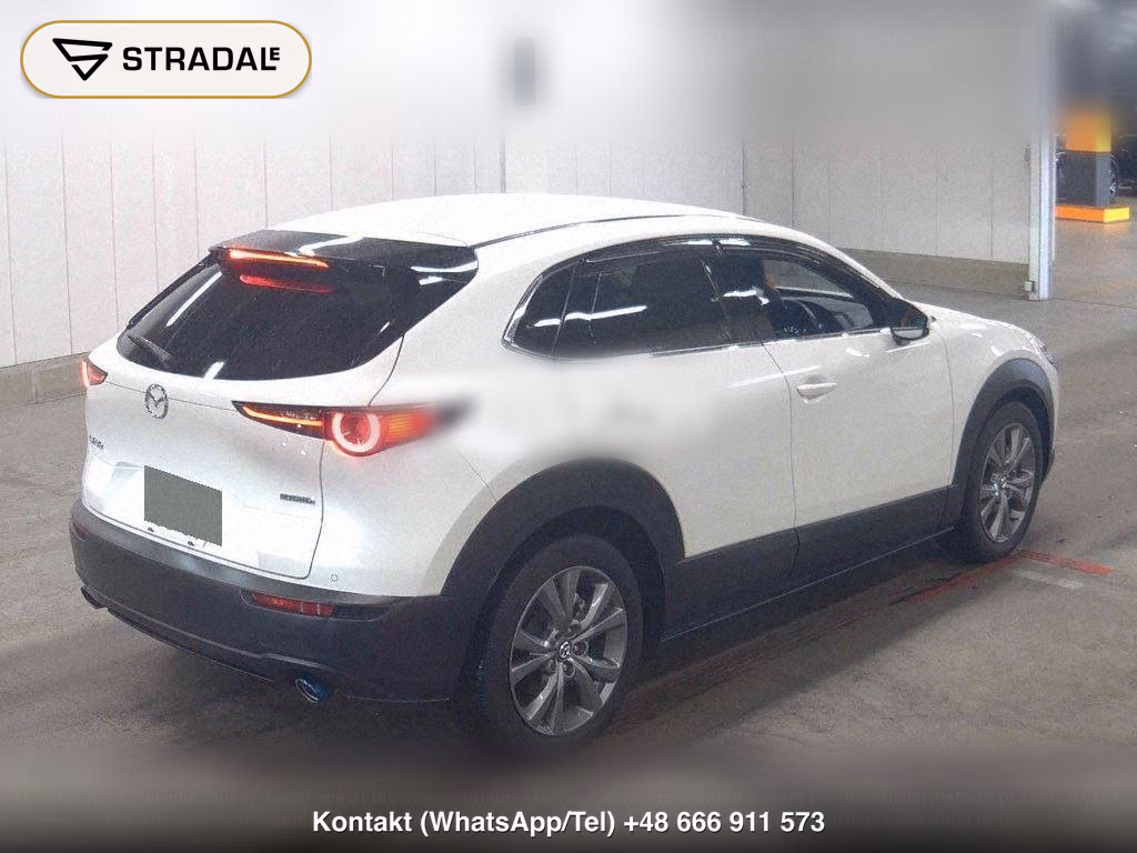 MAZDA CX-30 XD PROACTIVE TOURING SELECTION, miniaturka 6