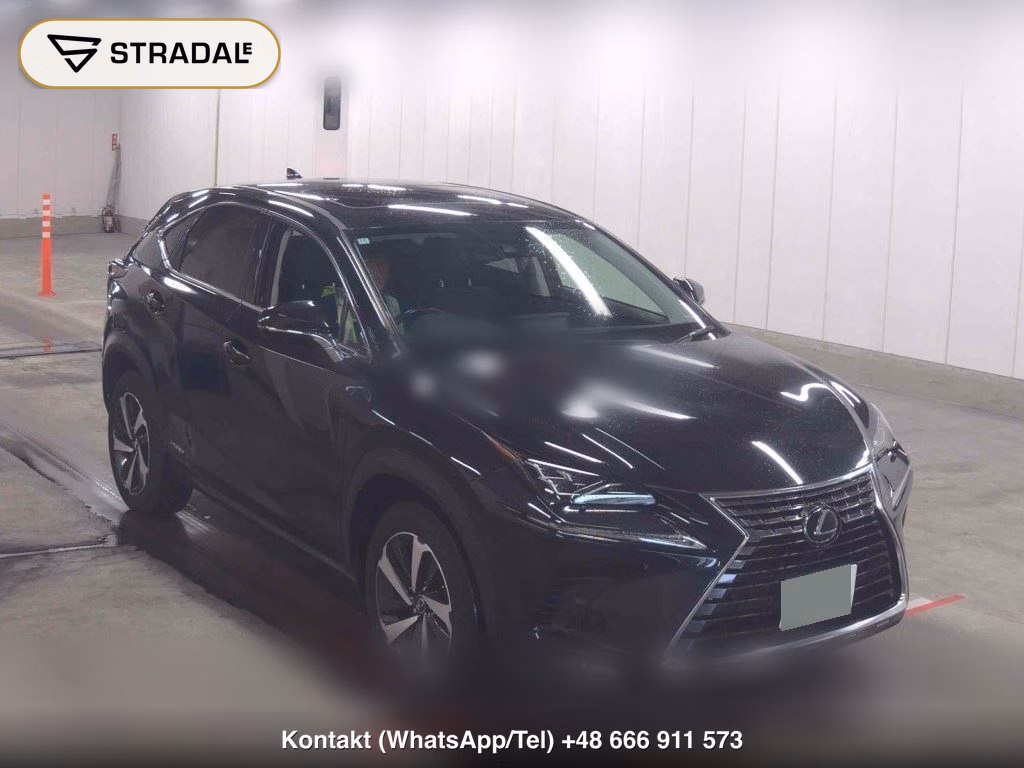 LEXUS NX NX300H VERSION L 2020, aukcja z Japonii, zdjęcie 1