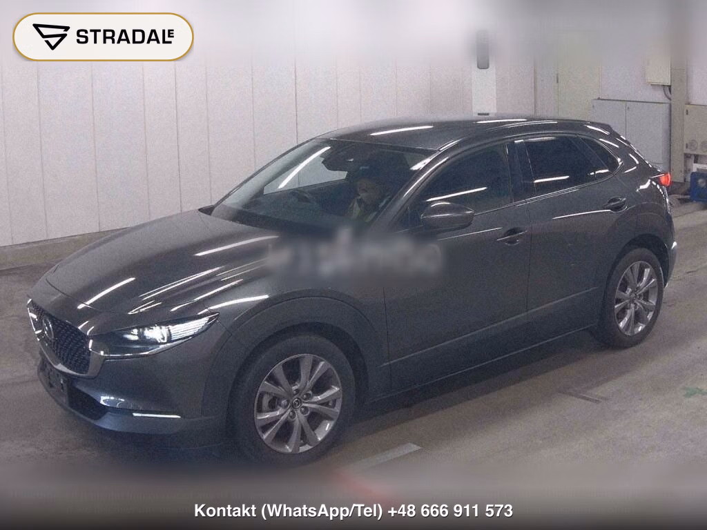MAZDA CX-30 4WD 20S PROACTIVE TOURING SELECTION, miniaturka 5