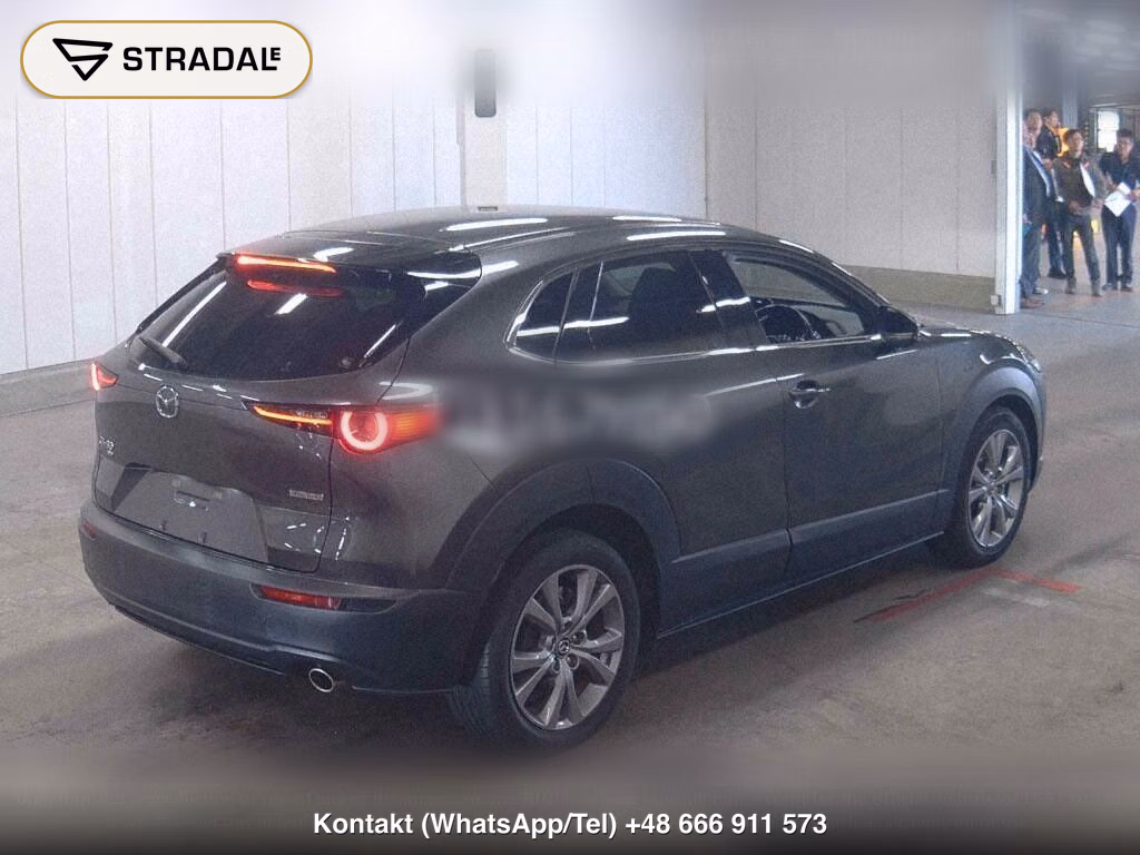 MAZDA CX-30 4WD 20S PROACTIVE TOURING SELECTION, miniaturka 6