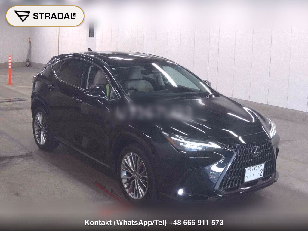 LEXUS NX NX250 VERSION L, miniaturka 2