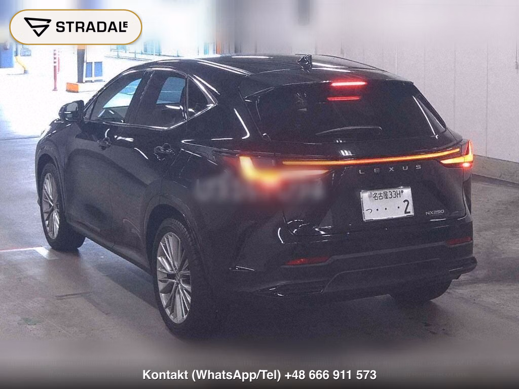 LEXUS NX NX250 VERSION L, miniaturka 3