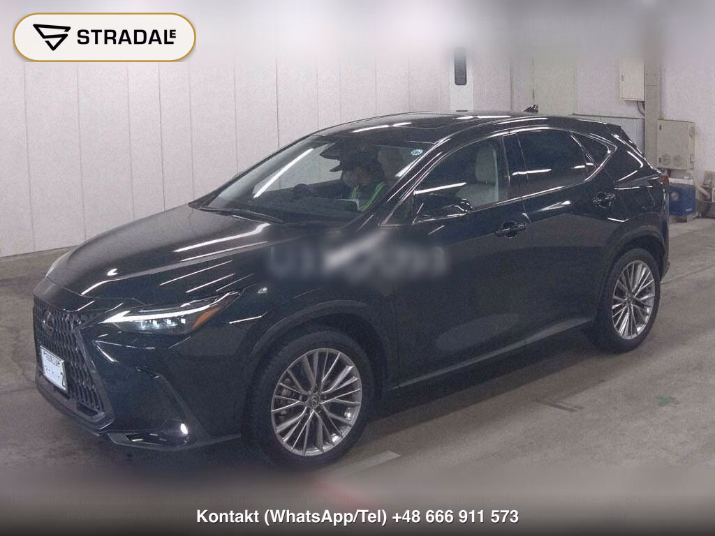 LEXUS NX NX250 VERSION L, miniaturka 5