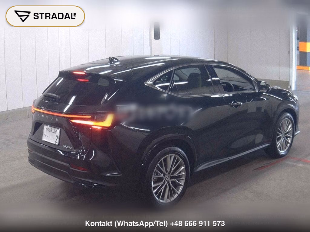 LEXUS NX NX250 VERSION L, miniaturka 6