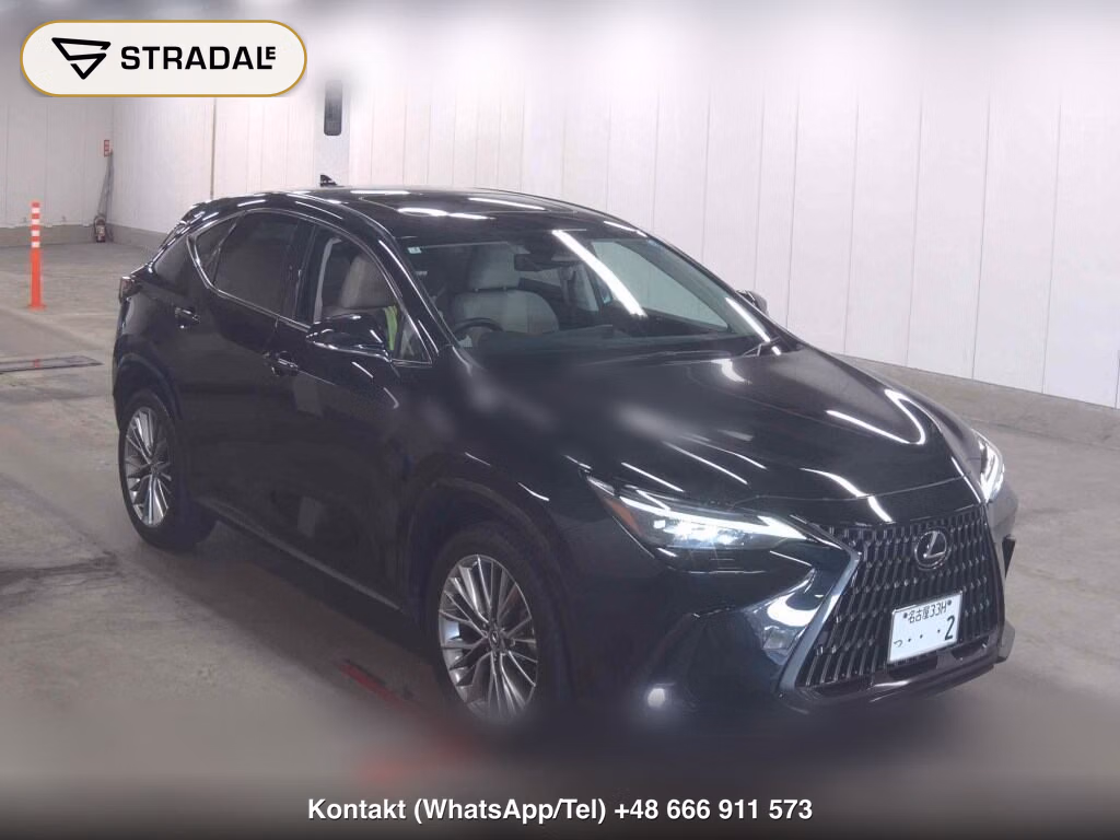 LEXUS NX NX250 VERSION L 2025, aukcja z Japonii, zdjęcie 1