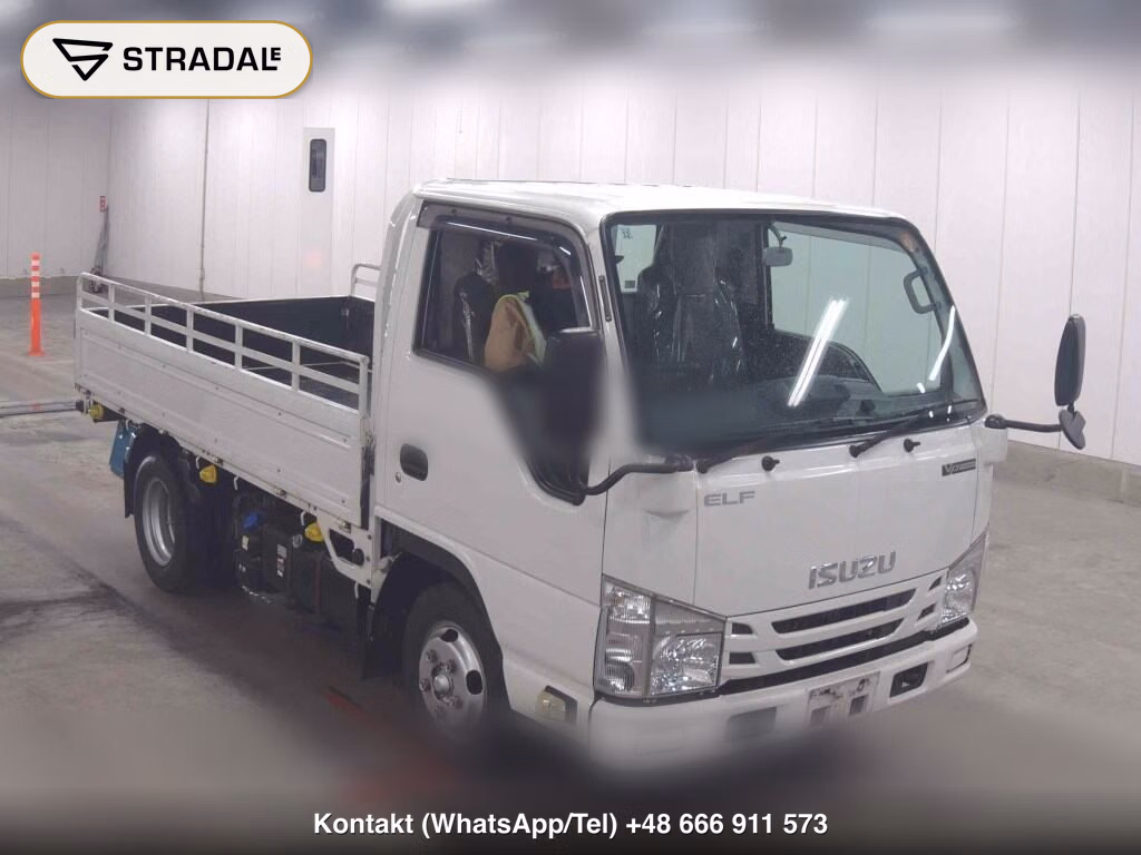 ISUZU ELF TRUCK 2D 2019, aukcja z Japonii, zdjęcie 1